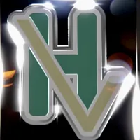 HEALTHY VIBEZ icon