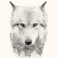 Wolf Backgrounds HD icon