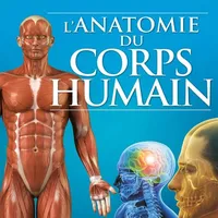 Quizz:Anatomie du Corps Humain icon