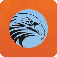 Secureye Pro icon