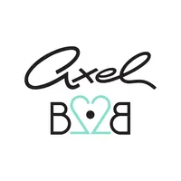 Axel B2B icon