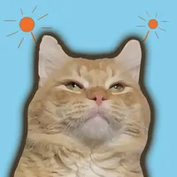 Cat animated emoji stickers icon