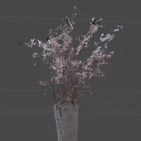 AR Pointcloud Player icon