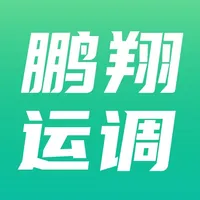 鹏翔运调平台 icon