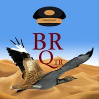 BR QTR Rider icon