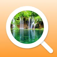 Reverse Image Search Find Tool icon