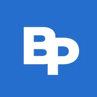 BullPay icon