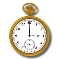 Manual Wind Pocket Watch icon