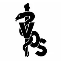 VOS 2021 icon