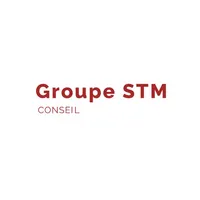 Groupe STM Conseil et Associés icon