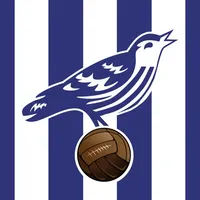 Boing Boing Baggies icon