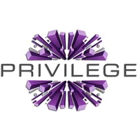 Privilege icon