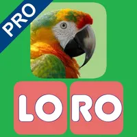 Leer las sílabas Pro icon