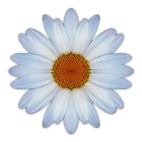 TASBillerCloud Daisy icon