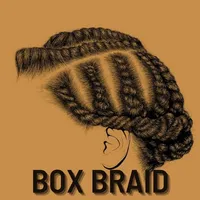 Knotless Box Braids Hairstyles icon