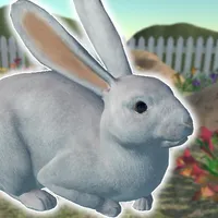 Rabbits Friends icon