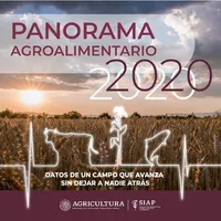 Panorama Agroalimentario 2020 icon