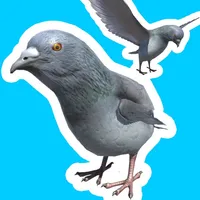 Pigeon JUMP-Too difficult game icon