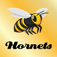 Aspley Hornets Football Club icon