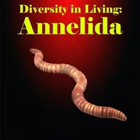 Diversity in Living: Annelida icon