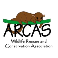 Arcas AR icon