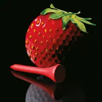 Strawberry Tour - Die Tour App icon