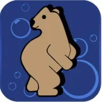 Buddy Bear Car Wash icon