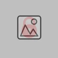 Bury Image icon