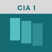 CIA Part 1 Exam Flashcards icon