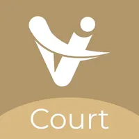 Vconsol Court icon