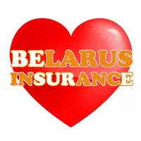 Belarus Insurance icon