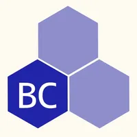 BizCon icon