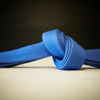 BJJ Blue Belt Requirements 2.0 icon