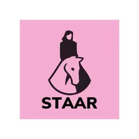 STAAR icon