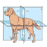 Veterinary Anatomy Quizzes icon