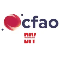 CFAO DIY Valuation icon