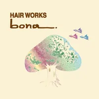 HAIR WORKS bona. icon