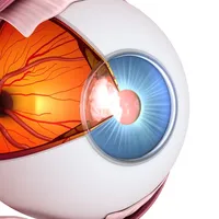 Vision Workout : Eye Training icon