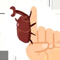 Beetle Tap icon