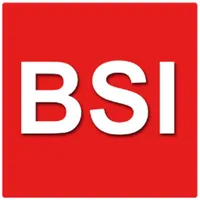 BSI-Auto icon