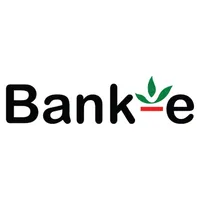 Bank-e icon