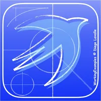 Working Examples for SwiftUI icon