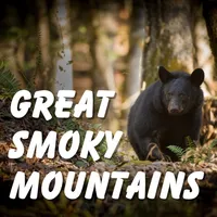 Great Smoky National Park Tour icon