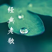 经典老歌 icon