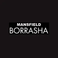 Borrasha icon