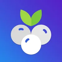 Blueberry - Business Payments icon