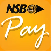 NSBPay icon