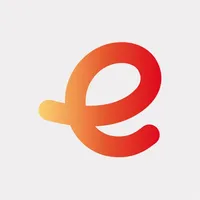 e:cheque icon