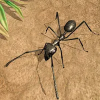 Ant Insect Life Survival War icon