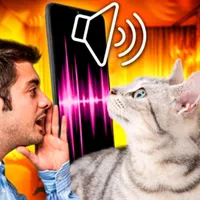 Cat Translator - speak, enjoy icon